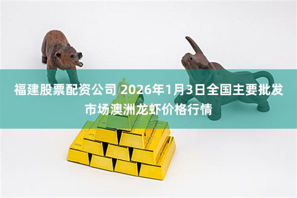 福建股票配资公司 2026年1月3日全国主要批发市场澳洲龙虾价格行情