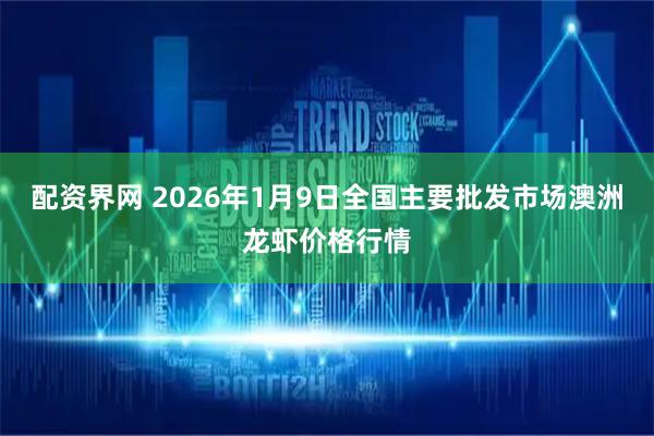 配资界网 2026年1月9日全国主要批发市场澳洲龙虾价格行情